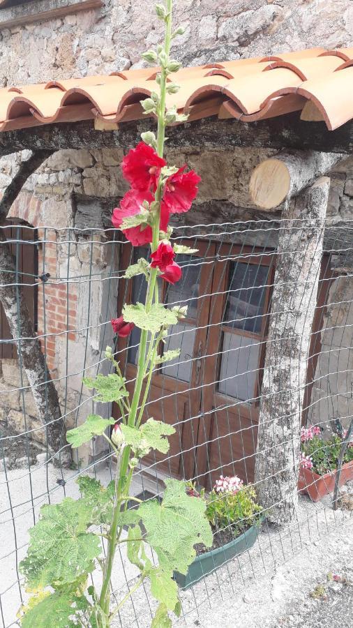 Bed and Breakfast Les Tremieres Saint-Paul-des-Fonts Экстерьер фото